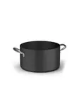 Kastrull PRO6000 20 cm Induktion - Ballarint Casseroles - BL1000155 - 1